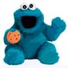 ilovecookiemonster12