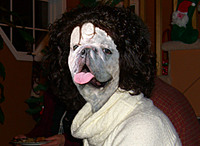 Jokee's Avatar