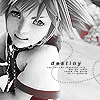 Xander0229