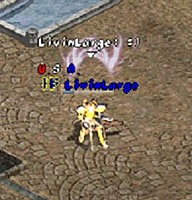 LivinLarge2007