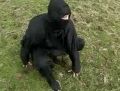 The Ninja