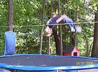 JMO89