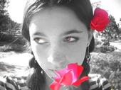 alohakitty7