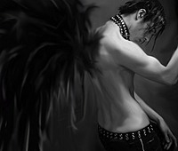 Shadow666cob