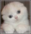 Dalisene's Avatar