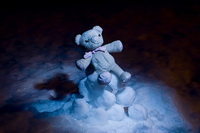 tebbybear