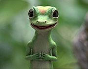 WiseGecko