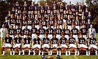 bears34