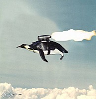 DangerPenguin