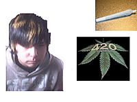 troylynch