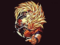 hapkido boy