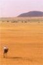 sudan