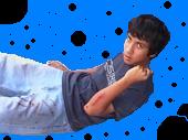 skater_evo_lution