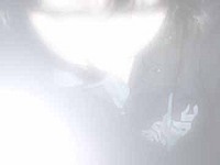 scenehxcddgsxe_kid