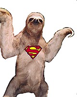 MasterDarwin