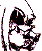 Blodeuwedd's Avatar