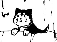 Black Hayate