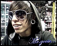 mrgoose