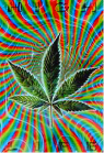 Takito99