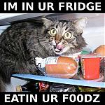 [TEHRANDOMNESTSCREENNAME]