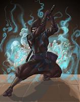 shadowfireninja