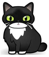 KittenLoveX
