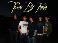 TornByFate_frank