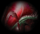 hominous nocturnam