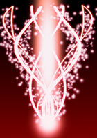 Maoko