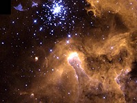 RF_Galaxy's Avatar