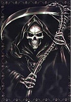 nykur