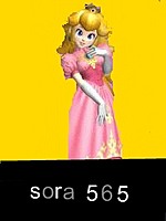 sora 565