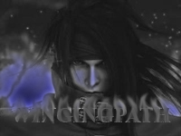 wingingpath