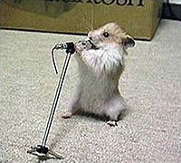 aznchewie