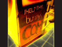 bunnyxxx