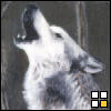 MintWolfChikyuu
