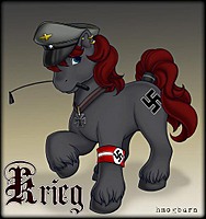 TheNotSoGermanNazi