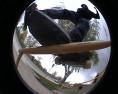 Sk8rjoe4407