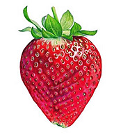 strawberri_girl
