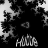 Hubbe91