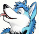 Kodiakhusky