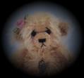 x.TinyTeddy.x