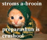 teh_masterers
