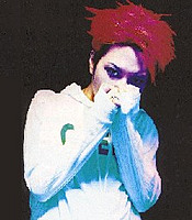 ikari hide