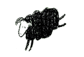 sandiegorick