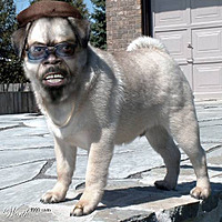 poozzoop1