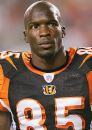 Chad Johnson