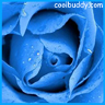 {ROSE}