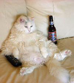 Franksthecat1245