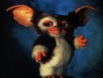Gizmo_pwns_all